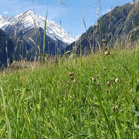 Virgentaler Alp Holiday home Pragraten