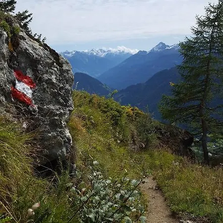 Virgentaler Alp Ferienhaus Prägraten