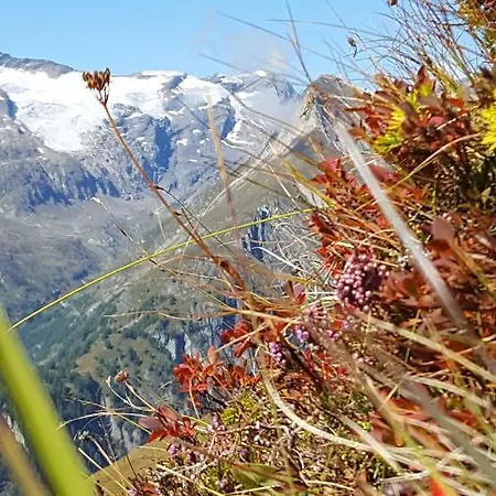 Virgentaler Alp Ferienhaus Prägraten